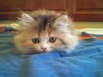 p_20121007_095421_50648.JPG