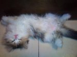 p_20121007_095424_35314.JPG
