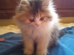 p_20121007_095428_84028.JPG