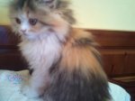 p_20121007_095430_86644.JPG