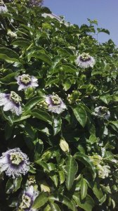 IMG_20160401_135639.jpg