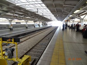 DSC08076.JPG