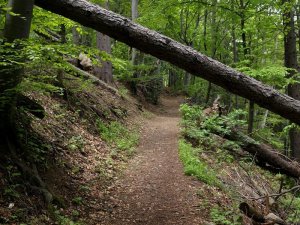 IMG_20160502_194448.jpg