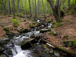IMG_20160502_194607.jpg