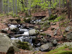 IMG_20160502_195139.jpg