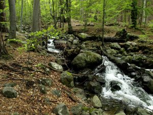 IMG_20160502_200019.jpg