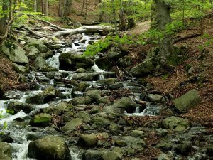 IMG_20160502_200104.jpg