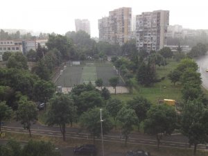 IMG_0505.JPG