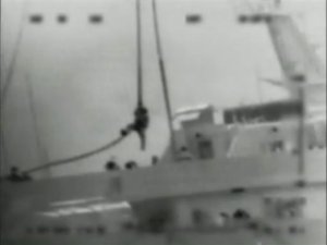 123.jpg