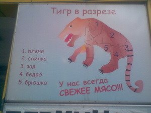 i-21.jpg i-21.jpg