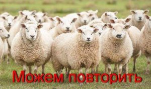 Liman.jpg