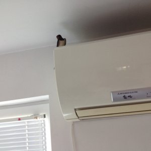 IMG_0580.JPG
