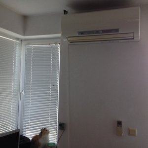 IMG_0584.JPG