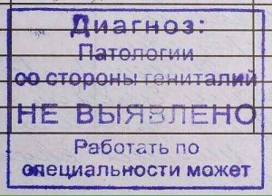 555.jpg