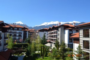 DSC_0825.jpg