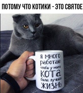 v50.jpg