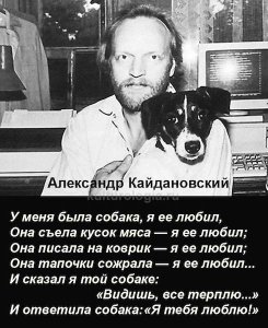 10946627_original.jpg
