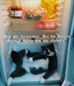 viber image 2019-04-21, 11.20.03.jpg