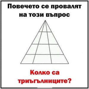 55667.jpg