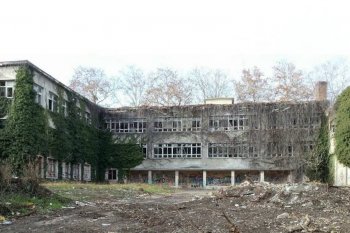a1.jpg