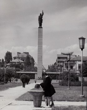 123.jpg