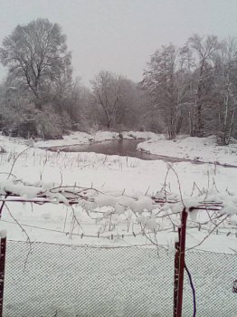 Я Поляна 27.01.2021.jpg