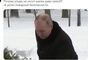 img.jpg