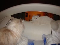DSC00701.JPG