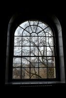 IMG_20150317_055826.jpg
