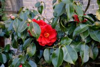 IMG_20150322_175843.jpg