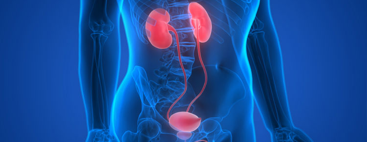 www.lifehospitalbg.com